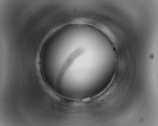 X0000103151384200808221320