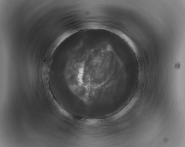 X0000103151385200808221320