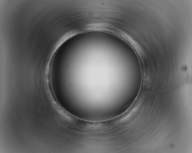 X0000103151386200808221320