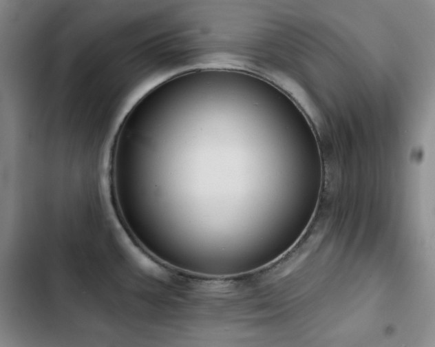 X0000103151387200808221320