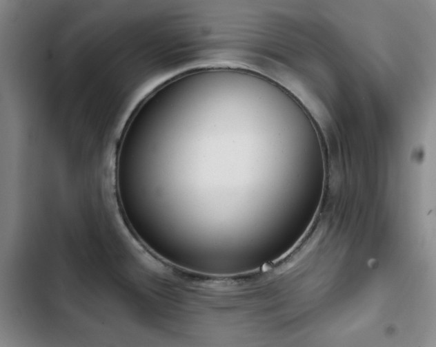 X0000103151388200808221320