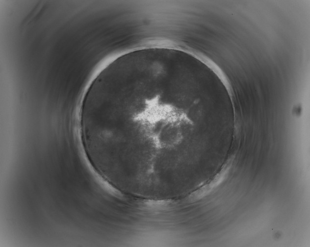 X0000103151389200808221320