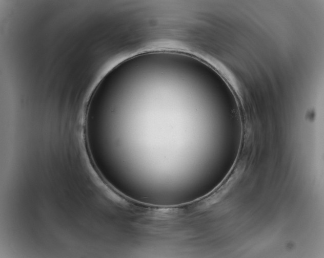 X0000103151390200808221320