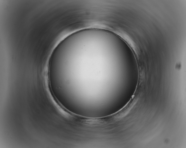X0000103151391200808221320