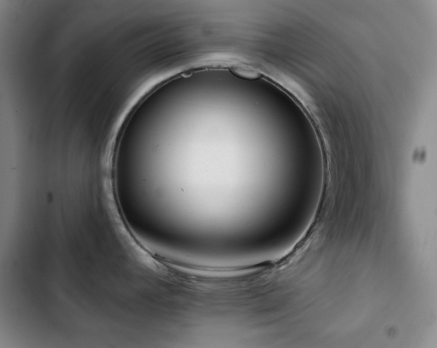 X0000103151392200808221320