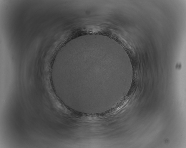 X0000103151393200808221319