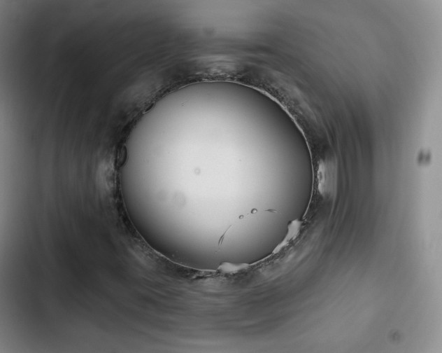 X0000103151395200808221319