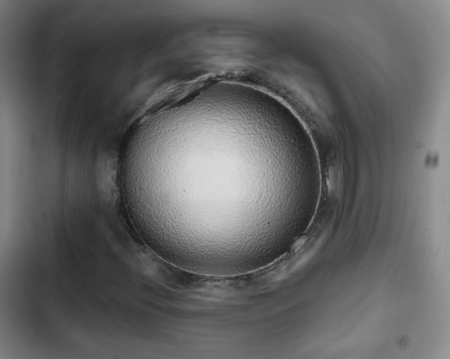 X0000103151396200808221319