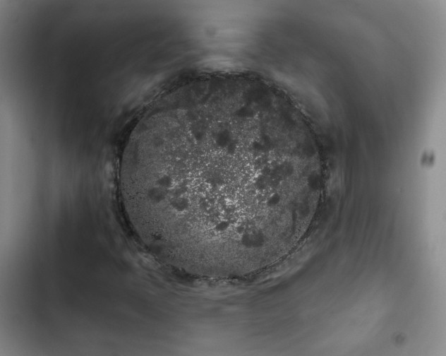 X0000103151397200808221319