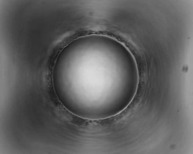 X0000103151398200808221320