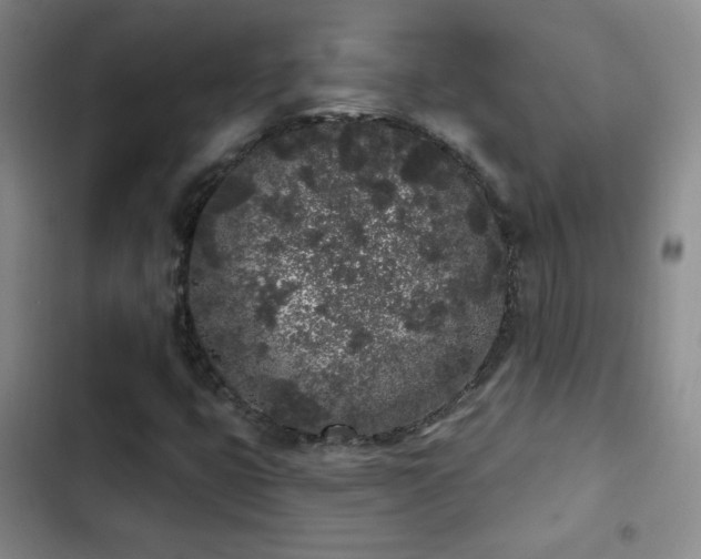 X0000103151399200808221320