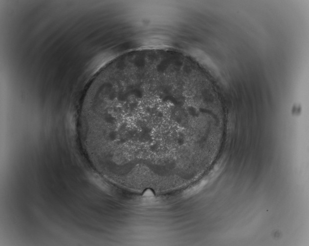 X0000103151401200808221320