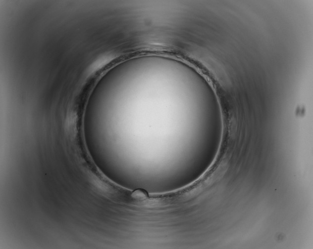 X0000103151402200808221320