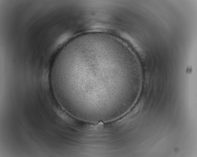 X0000103151403200808221320