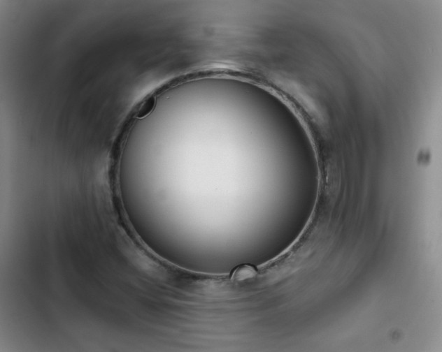 X0000103151404200808221320