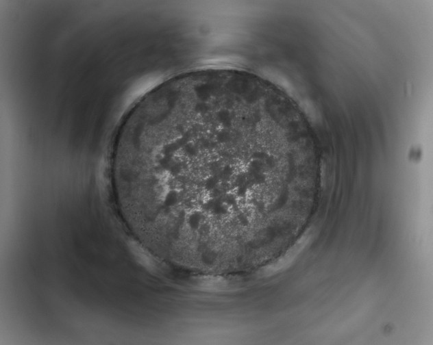 X0000103151405200808221320