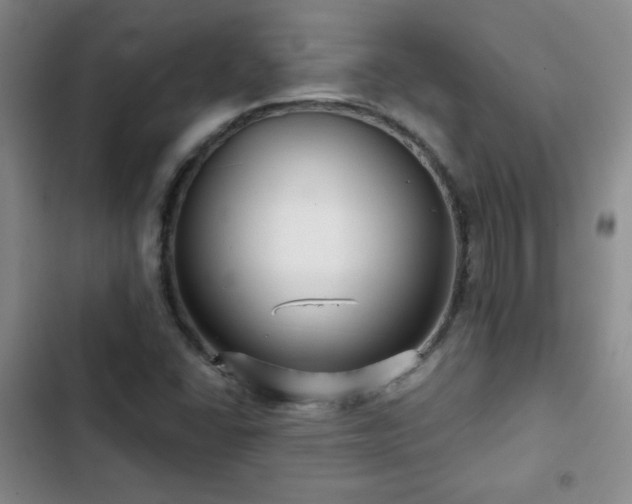 X0000103151406200808221320