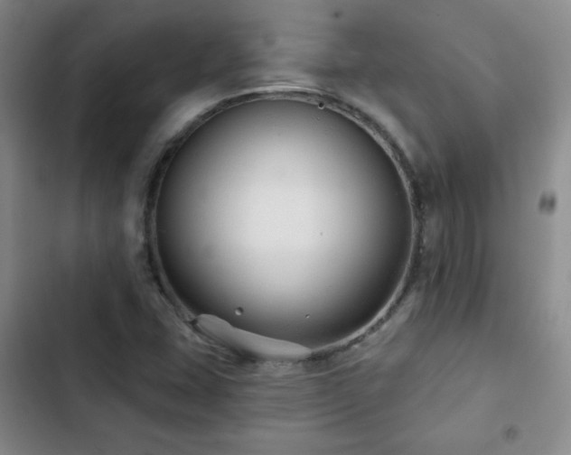 X0000103151407200808221320