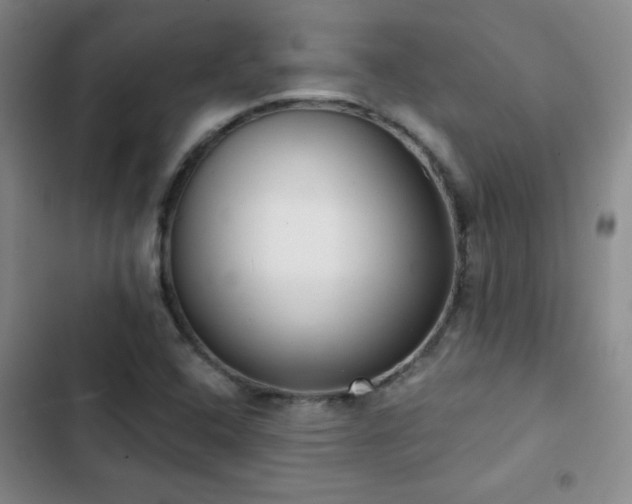 X0000103151408200808221320