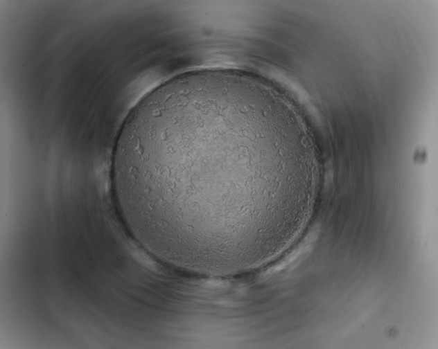 X0000103151409200808221320