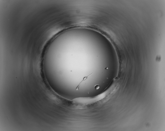 X0000103151410200808221320