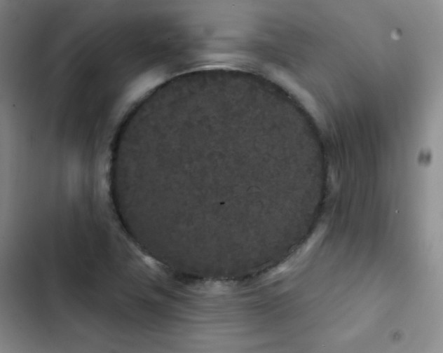 X0000103151411200808221320