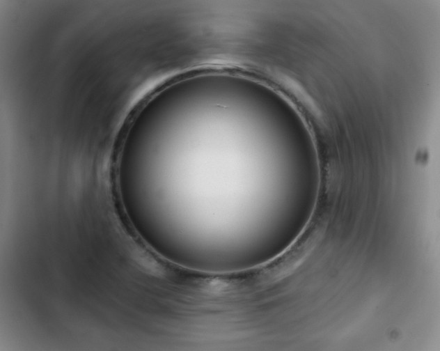 X0000103151412200808221320
