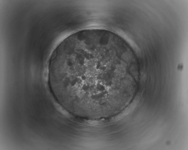 X0000103151413200808221320