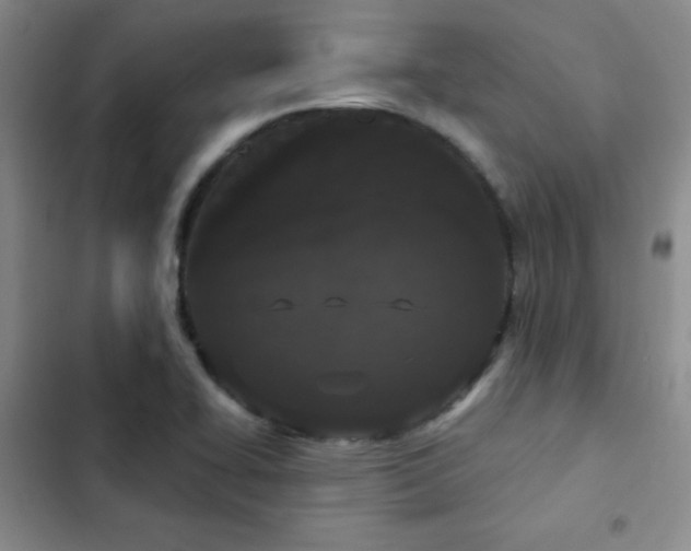 X0000103151414200808221320