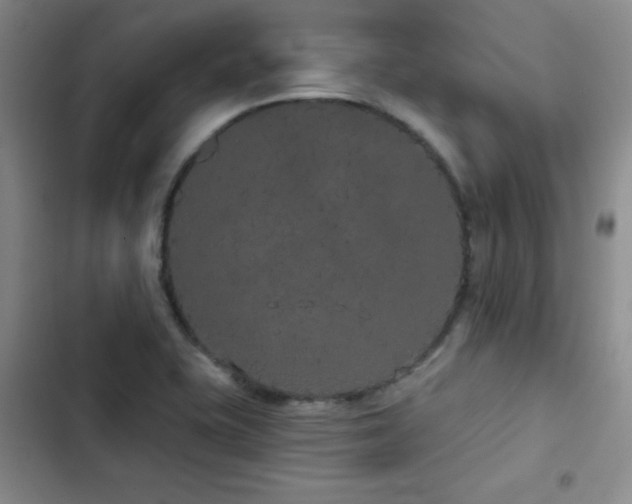 X0000103151415200808221320