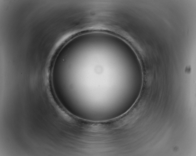 X0000103151416200808221320