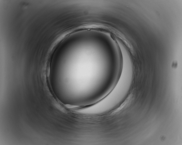 X0000103151417200808221320