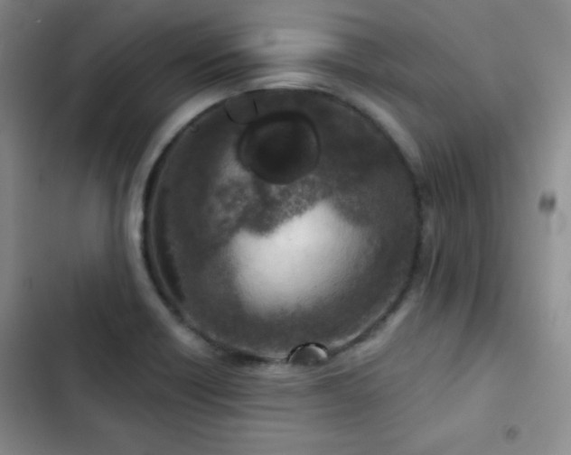 X0000103151418200808221320