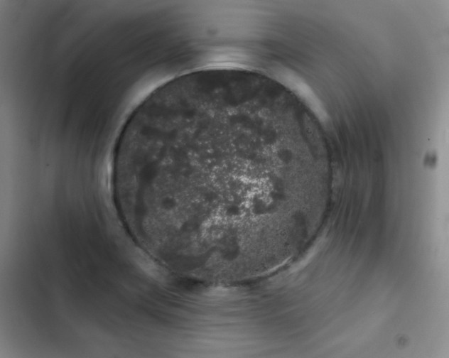 X0000103151419200808221320