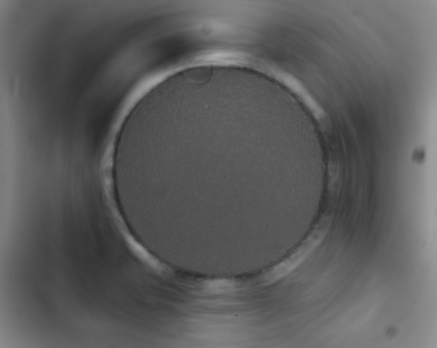 X0000103151421200808221320