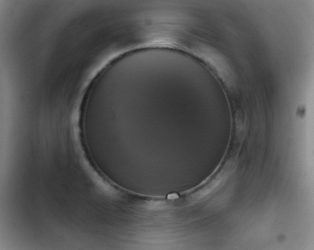 X0000103151422200808221320