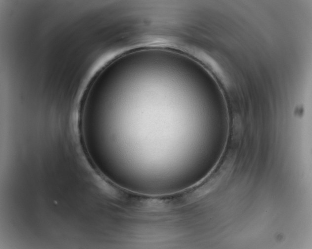 X0000103151424200808221320