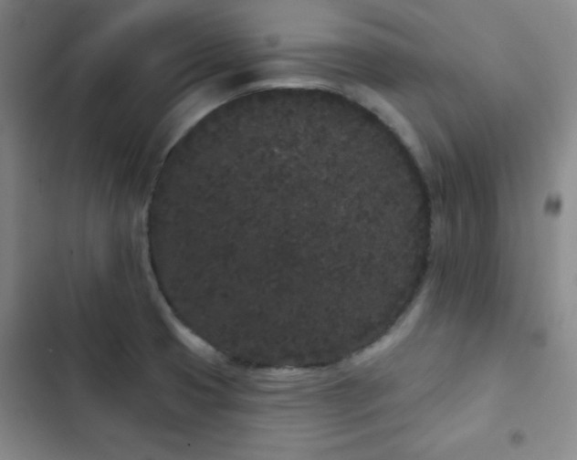 X0000103151425200808221320