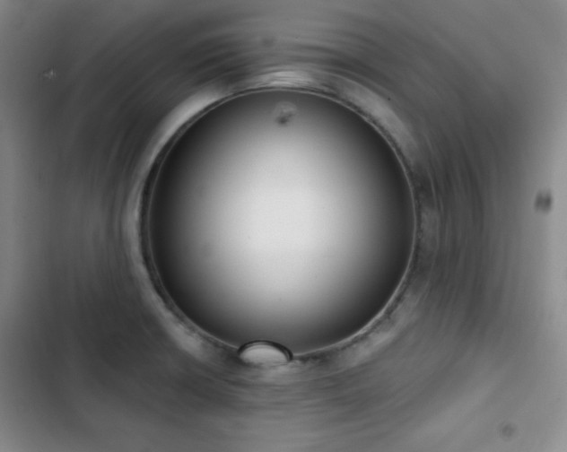 X0000103151426200808221320