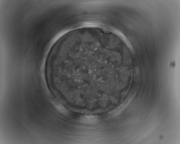 X0000103151427200808221320