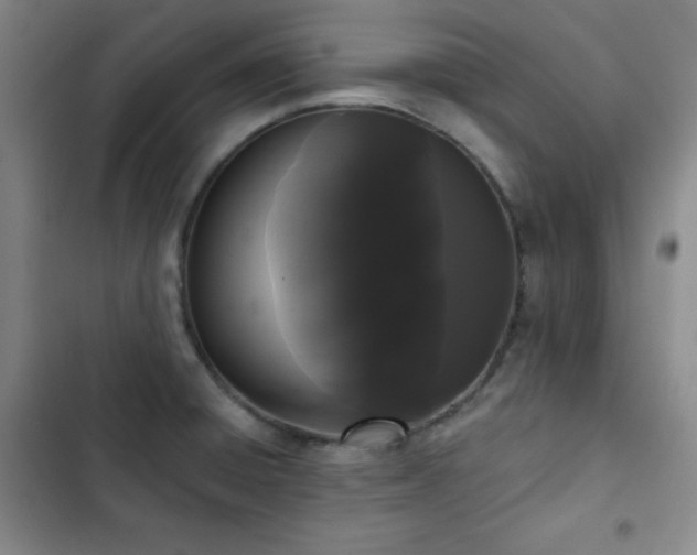 X0000103151428200808221320