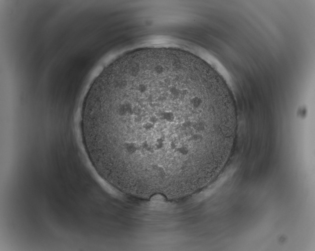 X0000103151429200808221320