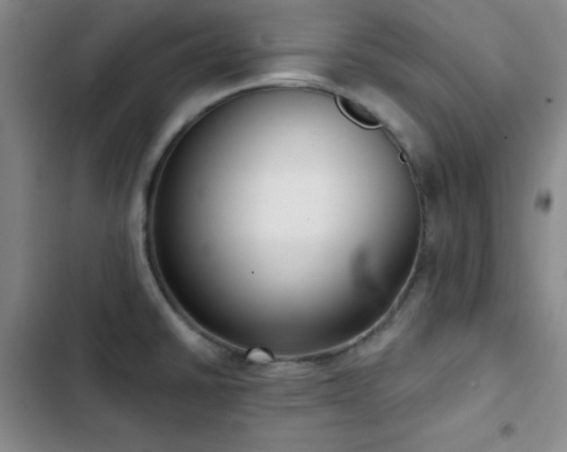 X0000103151430200808221320