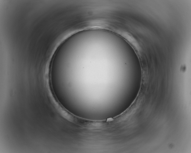 X0000103151431200808221320