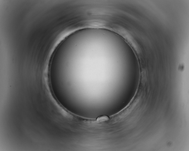 X0000103151432200808221320