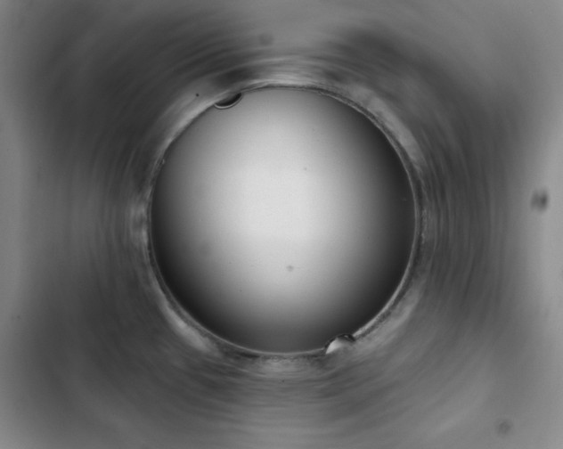 X0000103151433200808221320