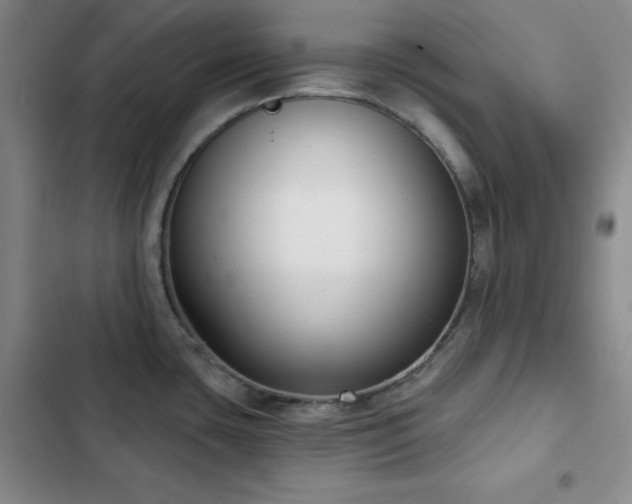 X0000103151435200808221320