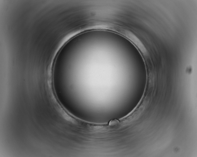 X0000103151436200808221320
