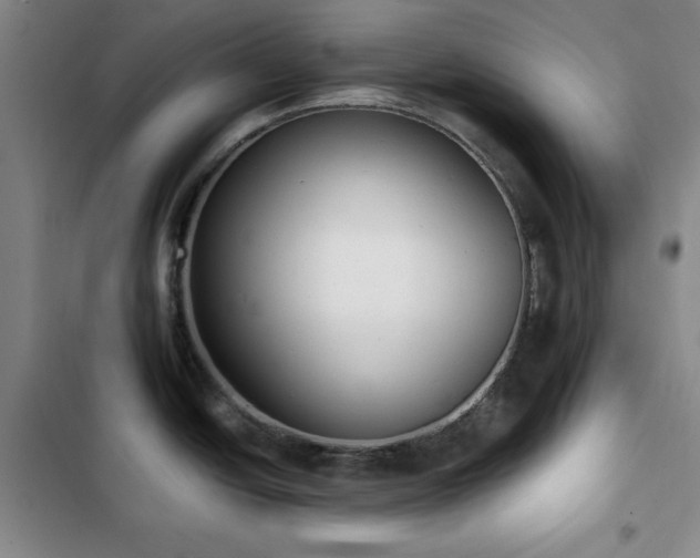 X0000103151438200808221320
