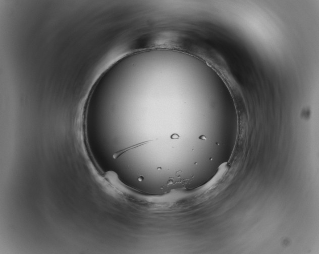 X0000103151439200808221320